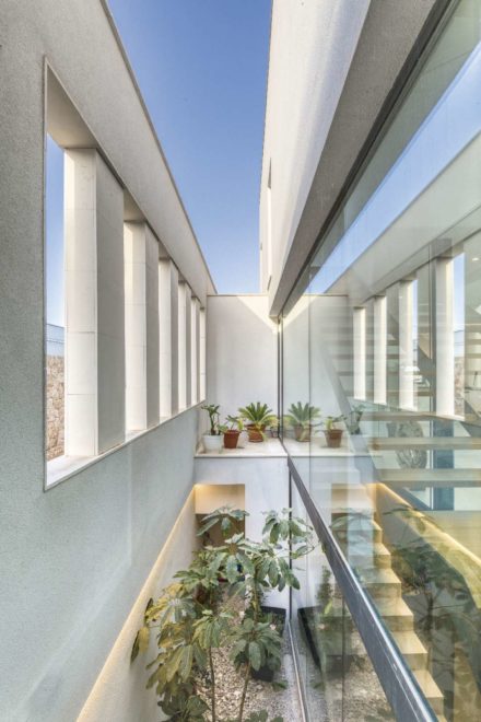 Jardín interior en casa moderna